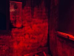 -Mr.Fox狐狸先生超级密室(南山店)