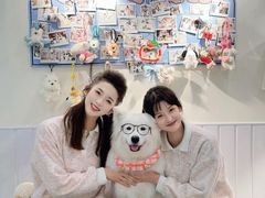 -汪说·狗咖·拼豆·宠物周边DIY(旺城大厦店)