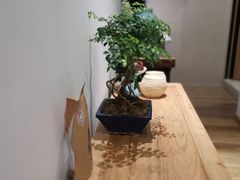 -隆德堂青瓷艺术·茶馆(故宫店)