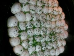 -德兴馆(山西南路店)