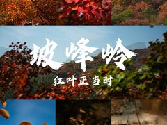 -周口店坡峰岭风景区