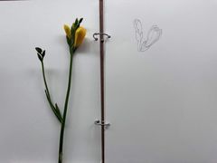 -八哥美术·成人美术画室(总校区)