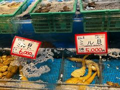 -黑潮市场