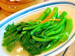 上汤富村菜心-点都德(世纪汇店)