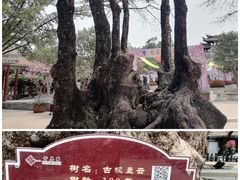 -宝墨园景区