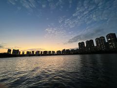-五缘湾湿地公园