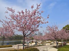 -新江湾城公园