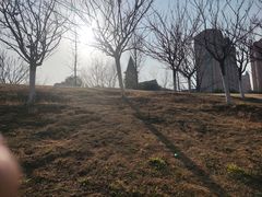 -沙澧河风景区