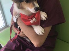 -美迦爱-牙专科·兔科·骨科诊疗中心(北苑店)
