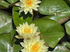 -呈贡滇池生态湿地公园