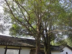 -毛泽东同志旧居
