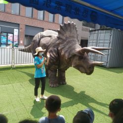 -恐龙探索乐园(磁器口店)