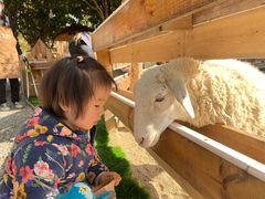 -HERRE·FARM 赫尔露营农场·团建聚会包场