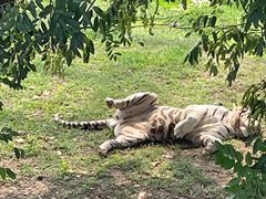 -西霞口神雕山野生动物世界