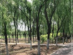 -东郊湿地公园