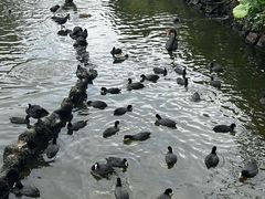 -海南热带野生动植物园