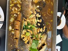 -来相会饺子·新辽菜(甘家口店)