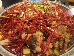 -南锣肥猫·麻辣烤鱼·15年现烤现卖(通州领展店)