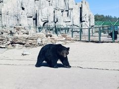 -鄂尔多斯野生动物园