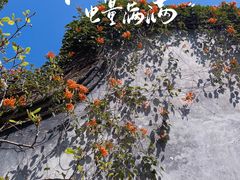 -乌山风景区