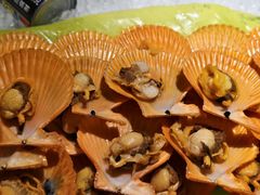 -海纳百川(义乌店)