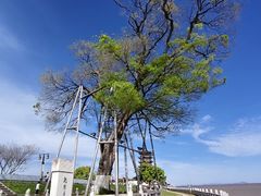 -观潮胜地公园