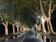 -河南省黄河迎宾馆
