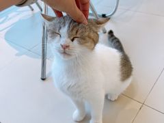 -怪兽屋·羊驼·猫咖·狗咖(俊华广场店)