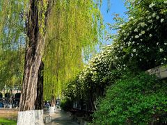 -四川大学(望江校区)