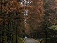 -山王坪喀斯特国家生态公园