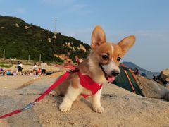-大浪湾