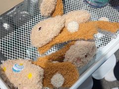 -蜀滋香鲜鱼美蛙火锅(339店)