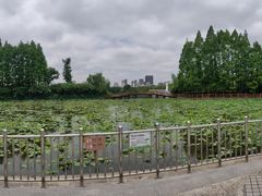 -黄兴公园