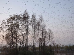 -艾溪湖湿地公园