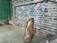 -杭州野生动物世界