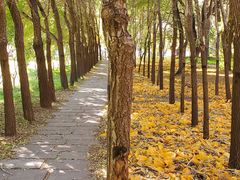 -长春市南湖公园