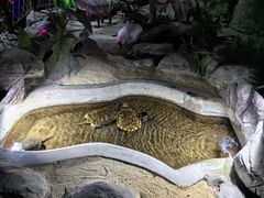 -泉城欧乐堡海洋极地世界