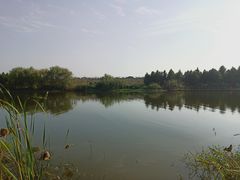 -合肥滨湖国家森林公园