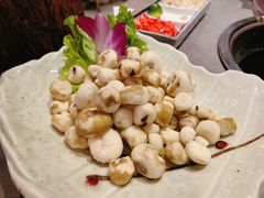 野生珍珠马蹄-同仁四季椰子鸡(宝安壹方城店)