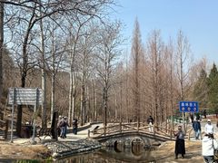 -白水寺森林公园
