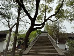 -练塘古镇
