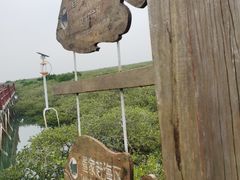 -北海金海湾红树林生态旅游区