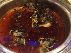 iphone_upload_pic-合肥辰茂和平酒店·茂餐厅