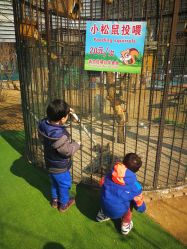 -萌宠亲子动物乐园(槐房万达店)