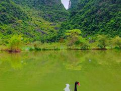 -靖西鹅泉风景区