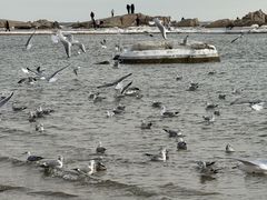 -老虎石海上公园