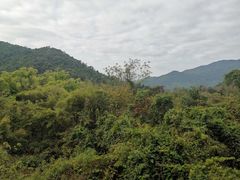 -呀诺达热带雨林