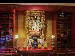 -新加坡佛牙寺龙华院