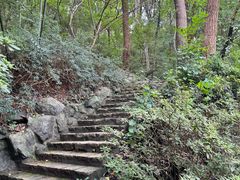 -南山风景名胜区