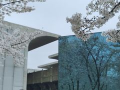 -龙美术馆(西岸馆)